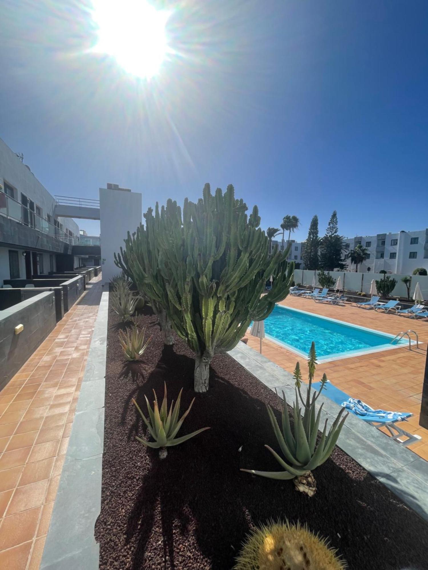 Sunrise Corralejo 아파트 외부 사진